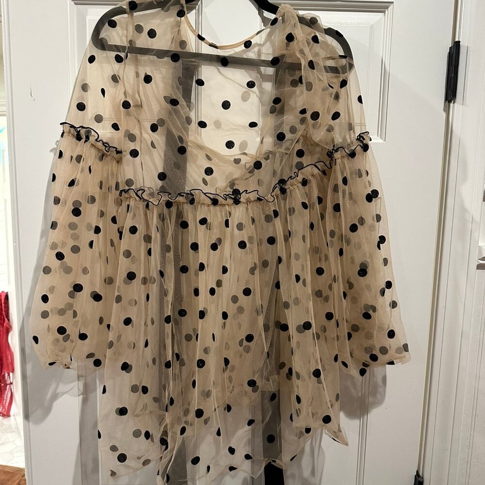 Mesh Polka Dot Top